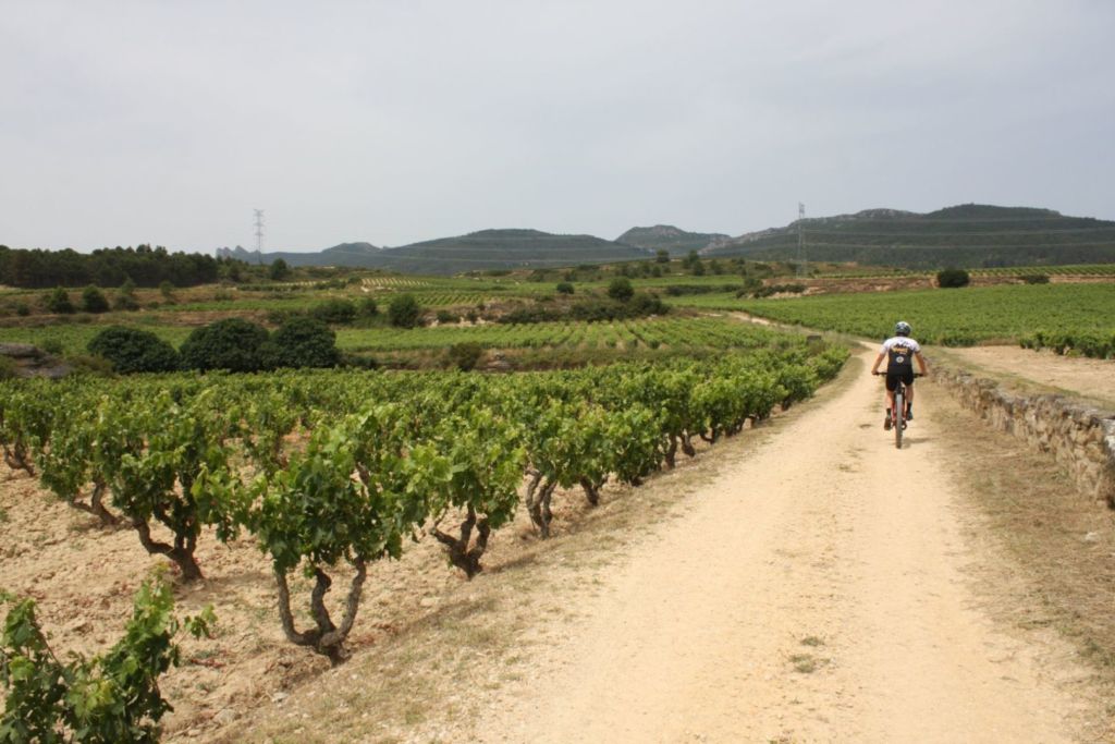 Tracks del Vino La Rioja